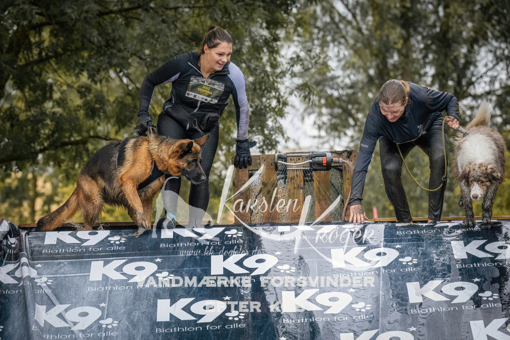 1244_ZZ90418 | kk-dogfotos