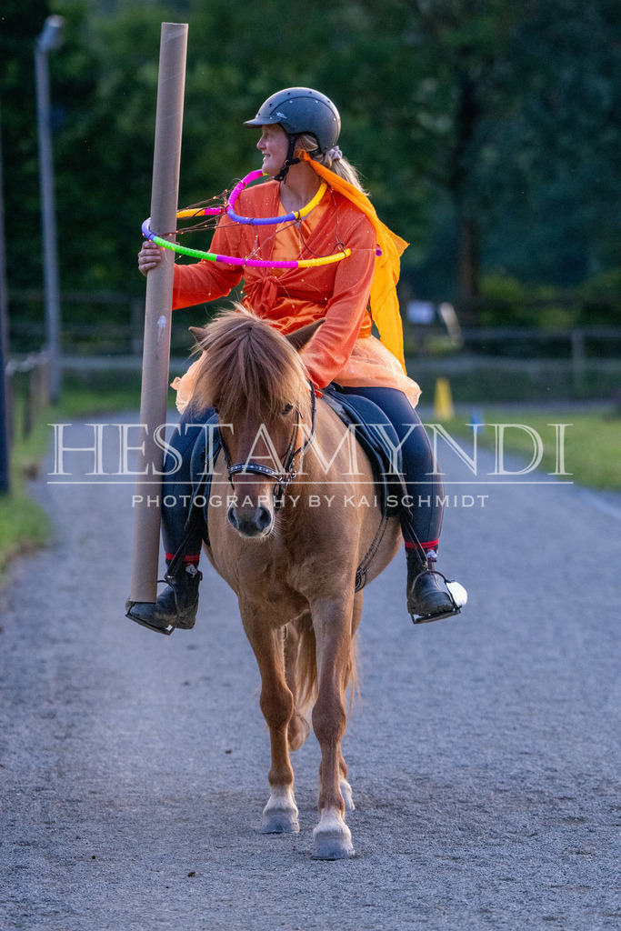 KAI07314 | Ihr sucht einen Fotografen für eure nächste OSI? Ich begleite auch euer Turnier für Islandpferde fotografisch.  - Realisiert mit Pictrs.com