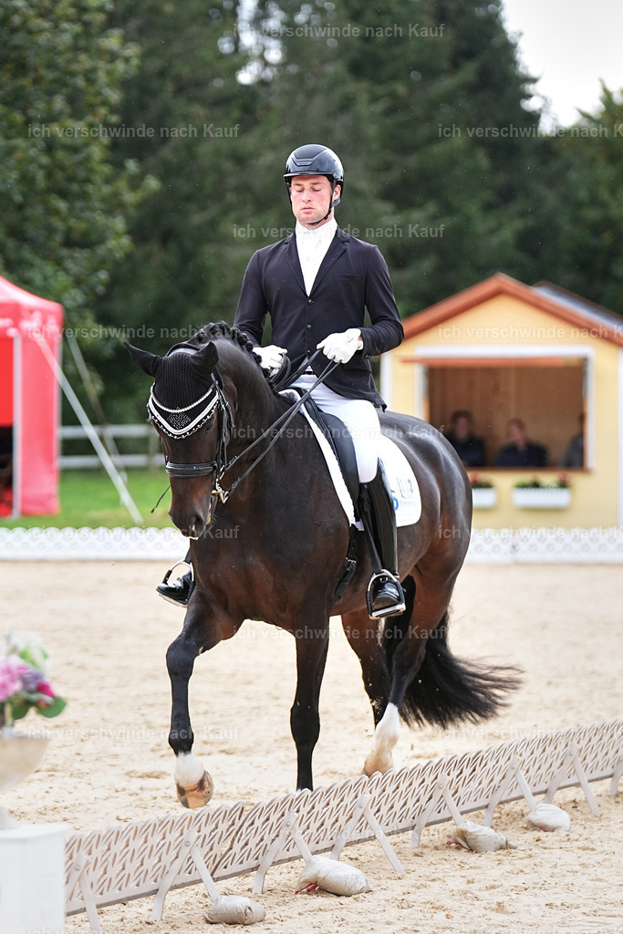 3-213-Dressur M_-Marixx-1991 | working equitationturnier fotograf videograf stoibphotography marixx film working equitation deutschland reitsport turnierfotografie eventfotografie equestrian events