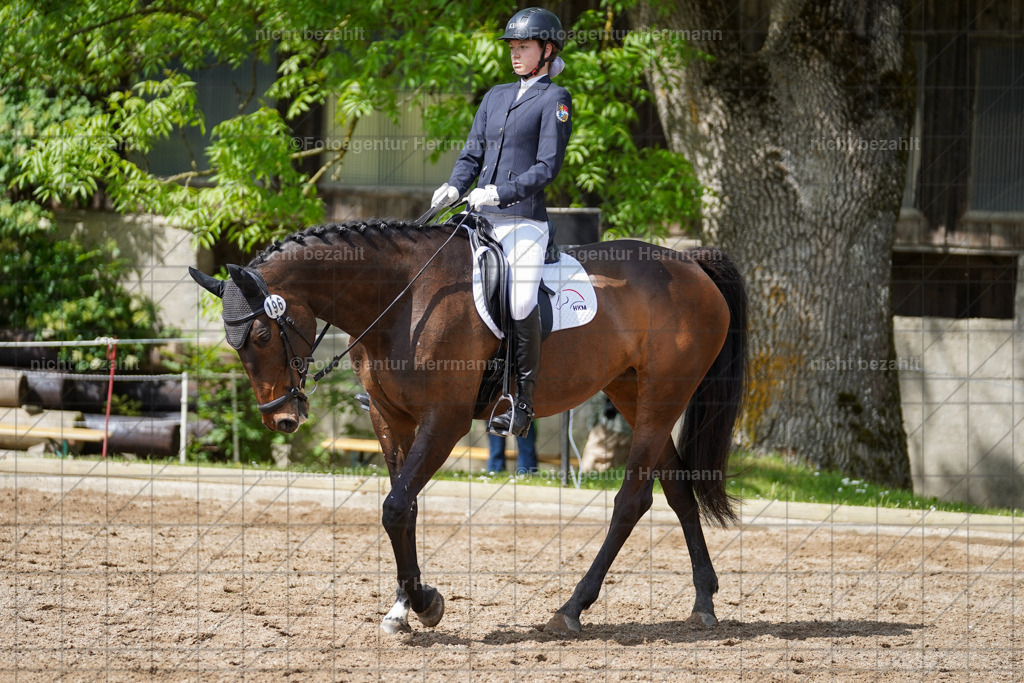 20240519-FAH04979 | Turnierbilder Niederseeon 2024, Vielseitigkeitsdressur, Reitsportbilder aus dem Landkreit Ebersberg, Gut Steinsee, RC Steinsee, Fotoagentur Herrmann