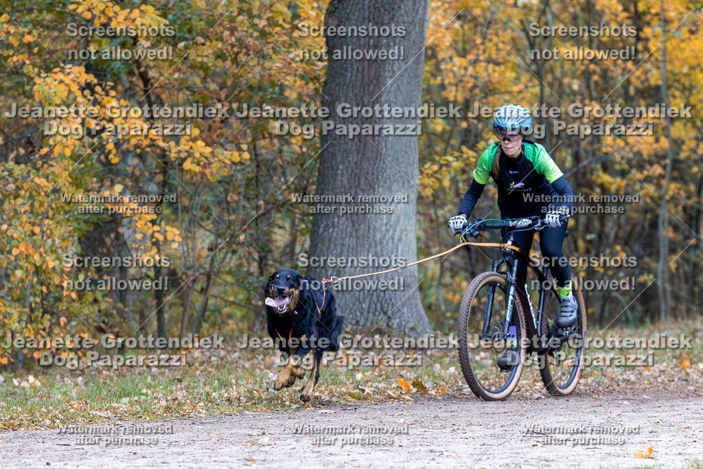 Dog Paparazzi - SD CaniX Championship 2025-245 | Dog Paparazzi Jeanette Grottendiek Fotografie & Videografie - Realisiert mit Pictrs.com