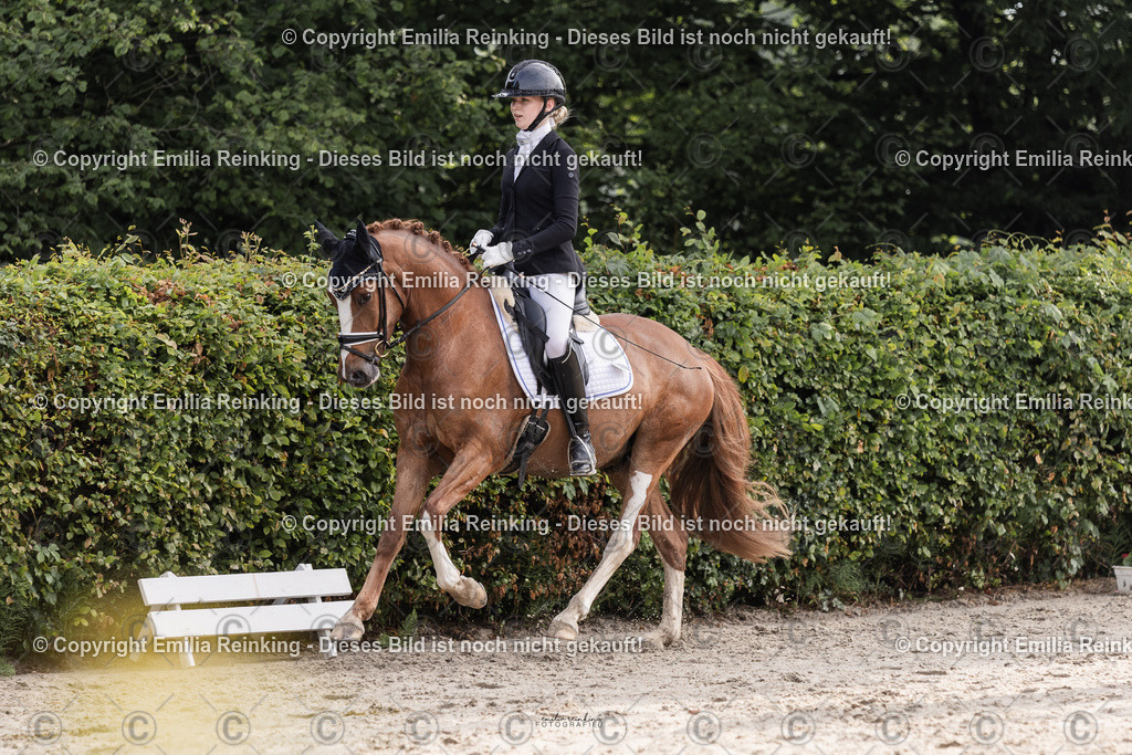 CL5A3538 | Emilia Reinking Fotografie - Realisiert mit Pictrs.com