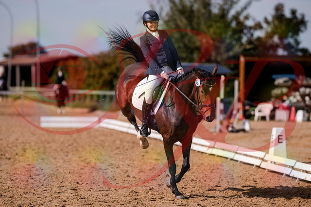 2026_10_03_Siefer-Hof_125753_Z81_47106851 | Professionelle Reitsport-, Turnier- und Eventfotografie von Robert Broda. Galerien mit ausgewählten und bearbeiteten Bildern direkt online ansehen und bestellen.