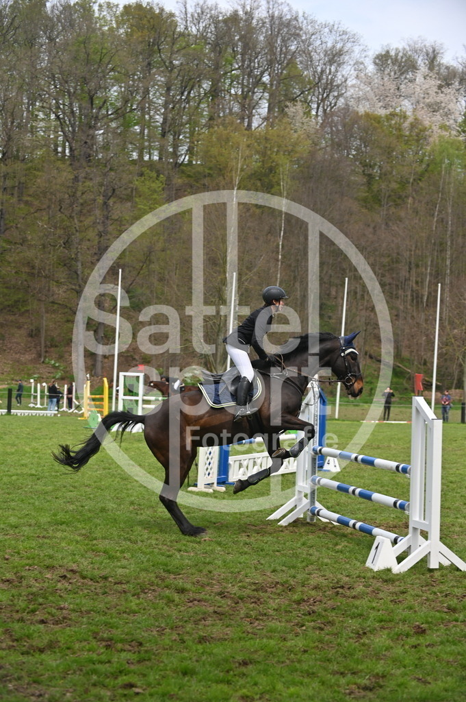 DSC_1599 | sattelsport - Realisiert mit Pictrs.com