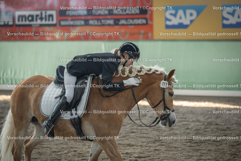 _D5A8341 | Emotionale Pferde- & People-Fotografie rund um Heidelberg, Leimen & Umgebung. Natürliche Fotos von Pferd, Mensch & Familie. Jetzt Termin sichern!
