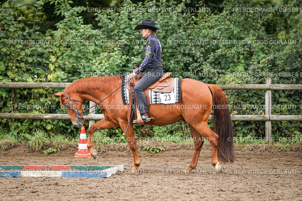 DSC03662 | Pferdegrafie