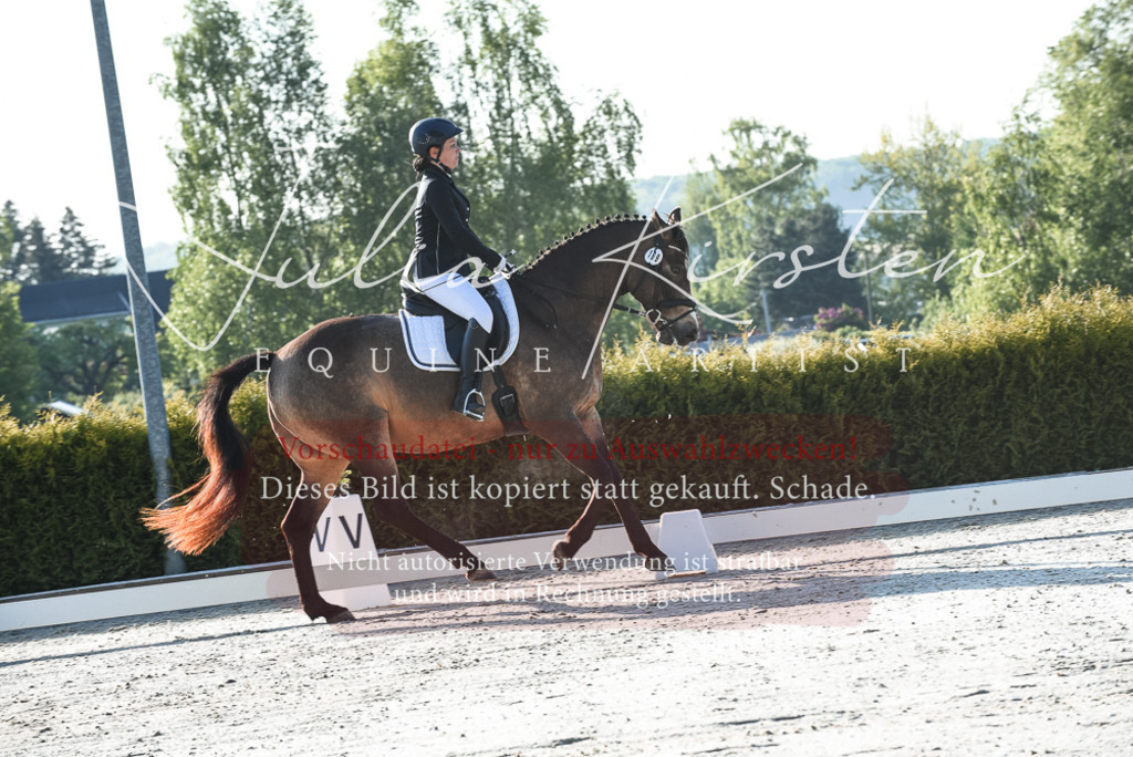 20230518_JK-Röhrsdorf-09-0062 | Pferde- und Turnierfotografie in Westsachsen. Pferdeportraits, Auftragszeichnungen und intuitive Kunst.
