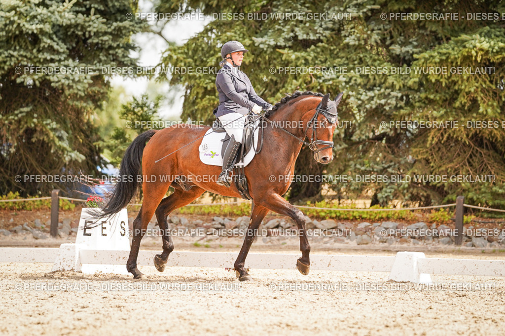 DSC01729 | Pferdegrafie