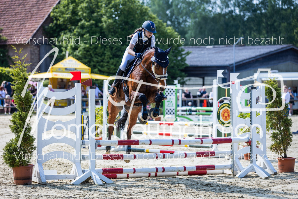 Donop24-ESpr-040 | MomenTaufnahmen Pferdesportfotos