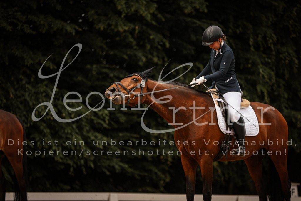 DoDrE00084 | Leoni Ertmer Photography - Realisiert mit Pictrs.com