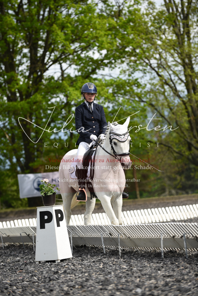 20230513_JK-Röhrsdorf-16-354 | Pferde- und Turnierfotografie in Westsachsen. Pferdeportraits, Auftragszeichnungen und intuitive Kunst.