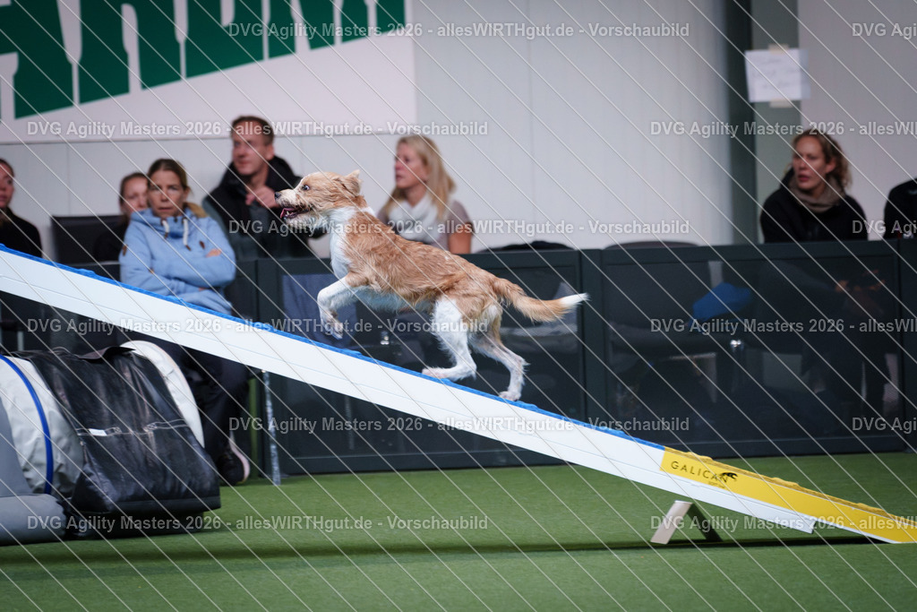 allesWIRTHgut_Tierfotografie-DVG_Agility_Masters_2026-15_05-7R506139 | Professionelle Tierfotografie in Mönchengladbach von Daniel Wirth (allesWIRTHgut). Liebevolle & natürliche Bilder von Hunden & Katzen für unvergessliche Erinnerungen.