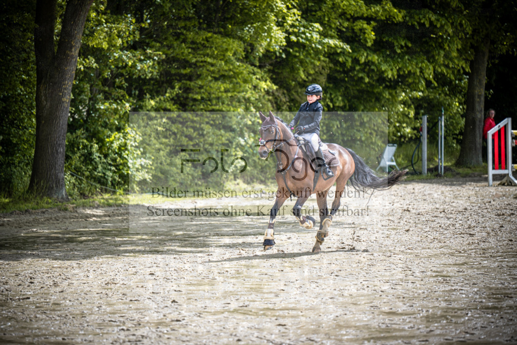DOS_2154 | Reitturnier Lüdinghausen - Realisiert mit Pictrs.com