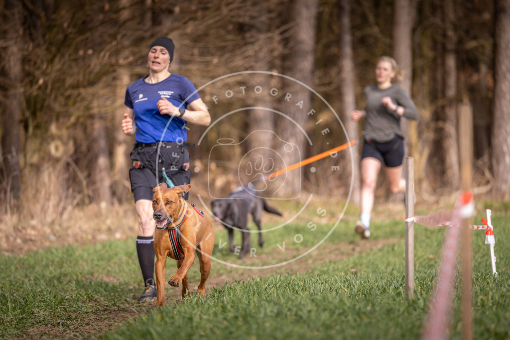 DV3A6052 | Hundefotografie, Tierfotograf, Pfotenfotografie, Fotoshooting Hund, Hunde Portrait, Hundesport, Hundeportraits, Heideshooting, Hunde, Sportfotograf, Hundefotograf, Turnierhundsport, THS,  - Realisiert mit Pictrs.com
