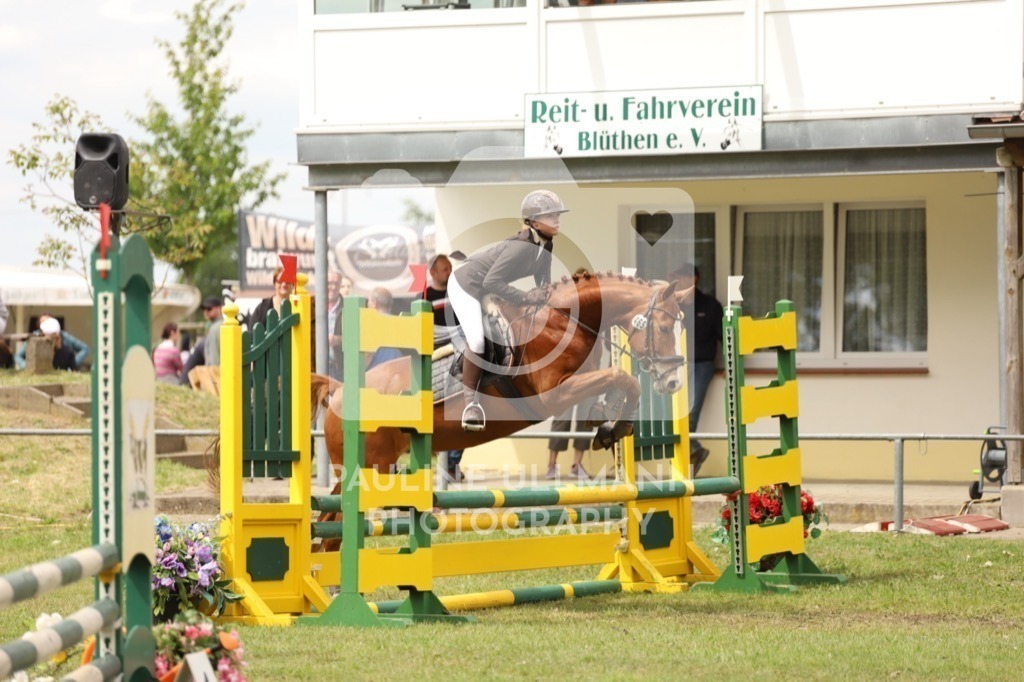 IMG_7441 | Pauline Ullmann Photography - Realisiert mit Pictrs.com