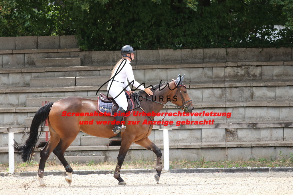 IMG_7836 | lmwpictures - Realisiert mit Pictrs.com