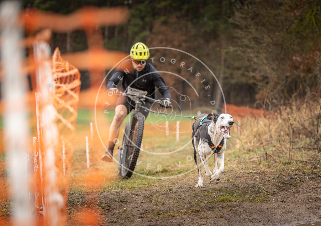 DV3A9401 | Hundefotografie, Tierfotograf, Pfotenfotografie, Fotoshooting Hund, Hunde Portrait, Hundesport, Hundeportraits, Heideshooting, Hunde, Sportfotograf, Hundefotograf, Turnierhundsport, THS,  - Realisiert mit Pictrs.com