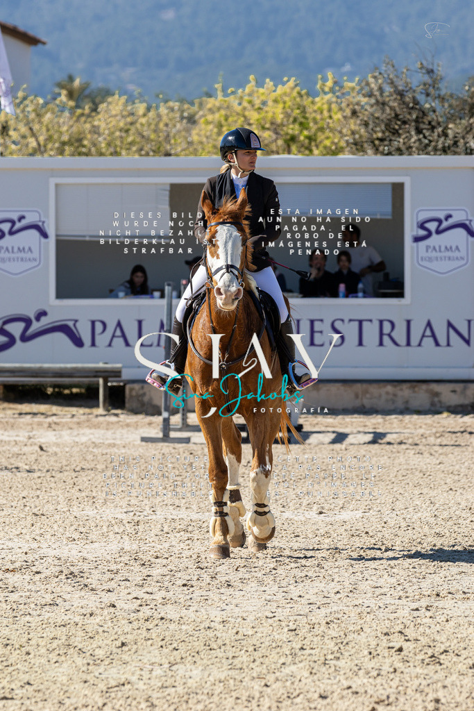 IMG_0743 | s-jay-photography - Realisiert mit Pictrs.com