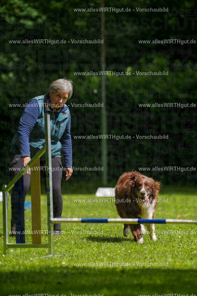 @allesWIRTHgut_Tierfotografie - www.allesWIRTHgut.de - 101032-7R508117 | Professionelle Tierfotografie in Mönchengladbach von Daniel Wirth (allesWIRTHgut). Liebevolle & natürliche Bilder von Hunden & Katzen für unvergessliche Erinnerungen.