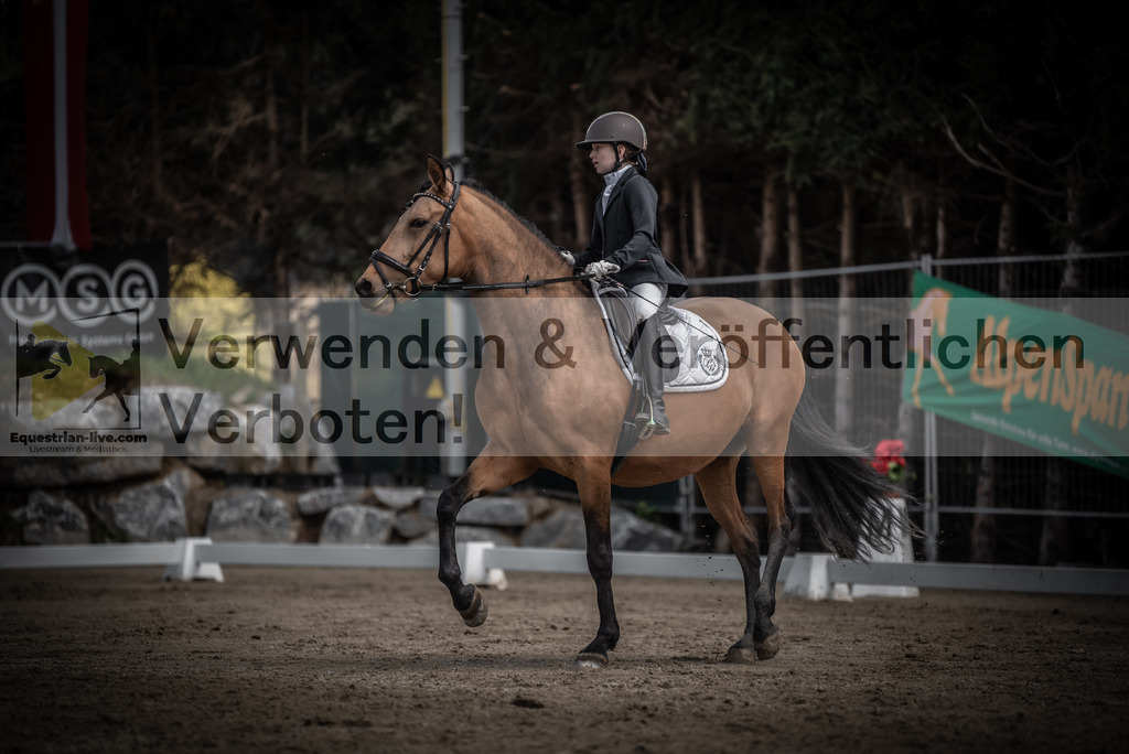 DSC_0814 | equestrian-live-com