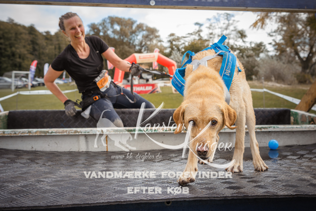 1333_ZZ91271-2 | kk-dogfotos