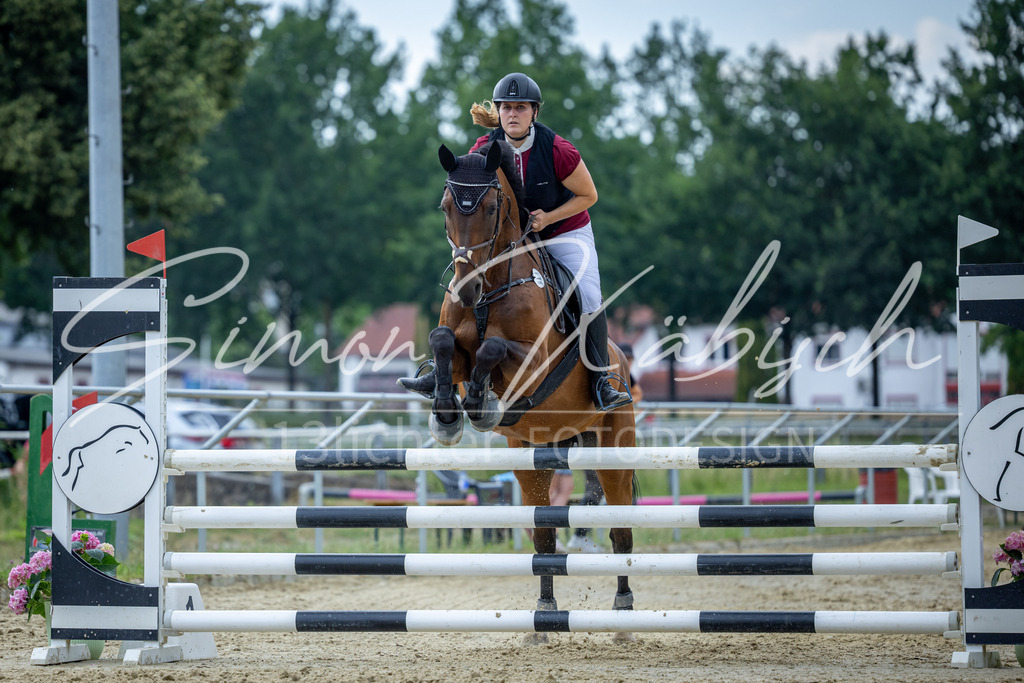 20260704-_3LI1749 | Tierfotografie Pferde, Hunde, Katzen, Haustiere.
Turnierfotografie Reitturniere, Reiten, Springreiten, Dressur in Hanau, dem Main-Kinzig-Kreis und dem Rhein-Main- Gebiet um Frankfurt