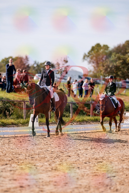 2026_10_03_Siefer-Hof_130157_Z81_54307571 | Professionelle Reitsport-, Turnier- und Eventfotografie von Robert Broda. Galerien mit ausgewählten und bearbeiteten Bildern direkt online ansehen und bestellen.