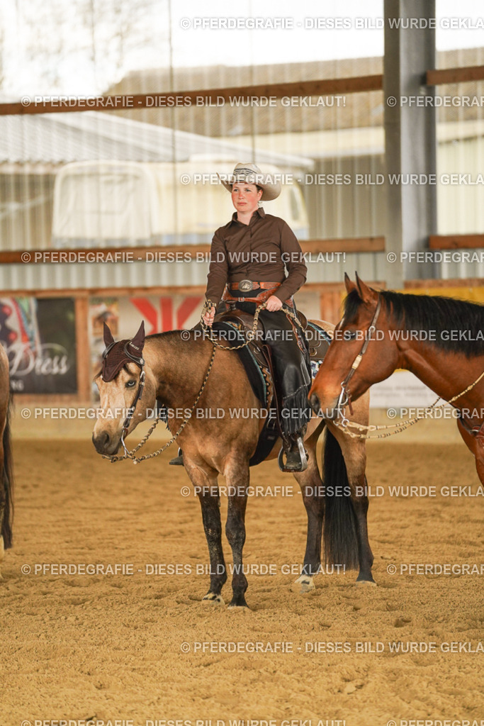 DSC08381 | Pferdegrafie