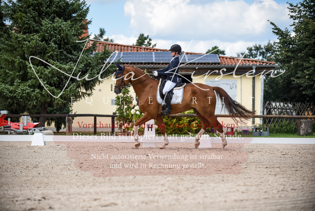DSC_9366 | Pferde- und Turnierfotografie in Westsachsen. Pferdeportraits, Auftragszeichnungen und intuitive Kunst.