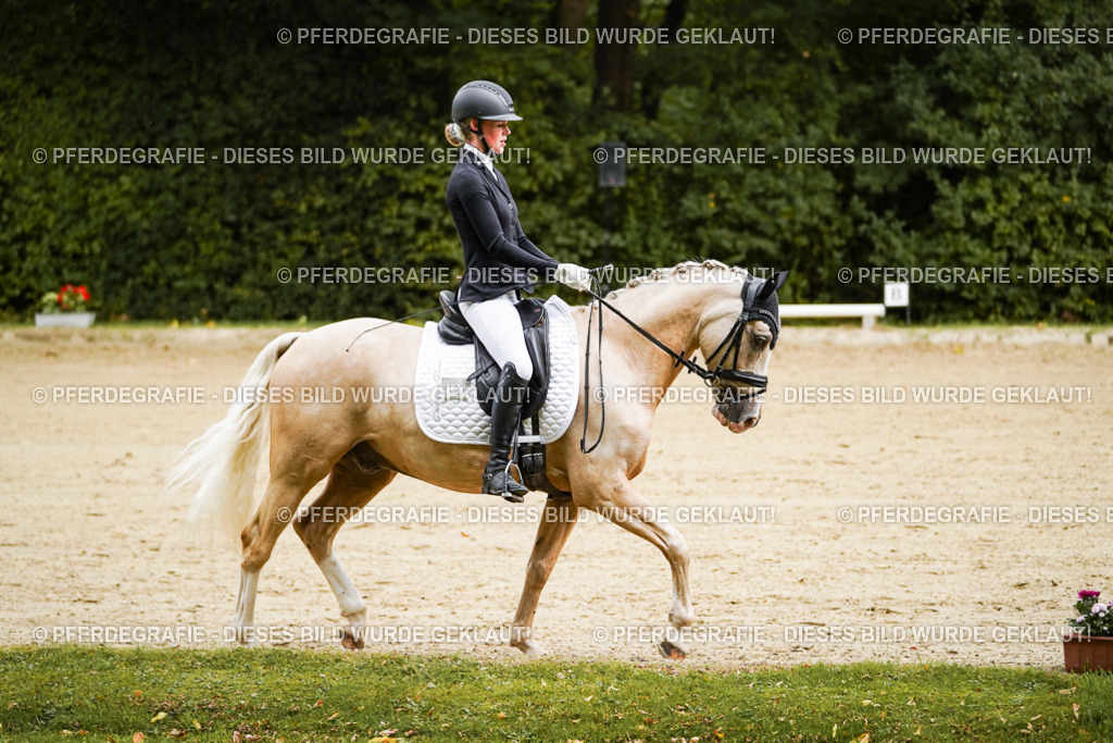 DSC08476 | Pferdegrafie