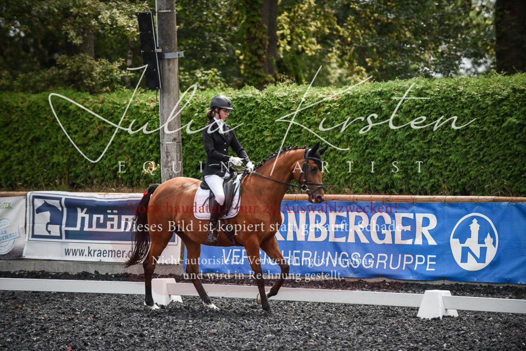 DSC_4376 | Pferde- und Turnierfotografie in Westsachsen. Pferdeportraits, Auftragszeichnungen und intuitive Kunst.