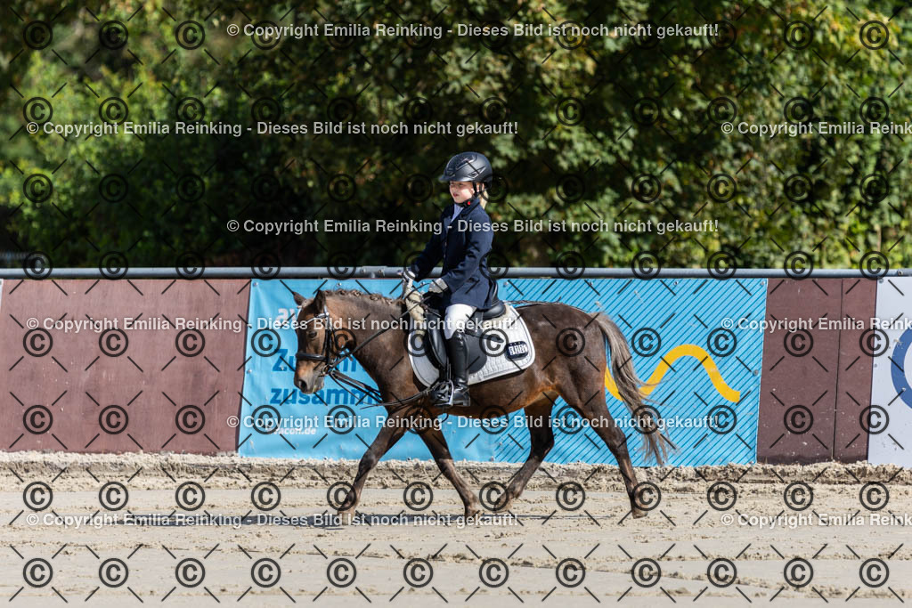 CL5A1814 | Emilia Reinking Fotografie - Realisiert mit Pictrs.com