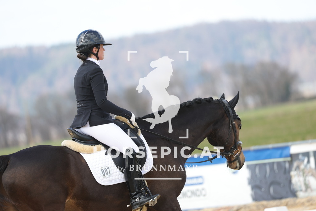 0P6A7449 | Willkommen bei Brunnmayr - Design & Fotografie – Ihrem Spezialisten für Reitturniere und Pferdeveranstaltungen in Oberösterreich, Salzburg und Bayern! Seit über 17 Jahren sind wir leidenschaftlich dabei.
