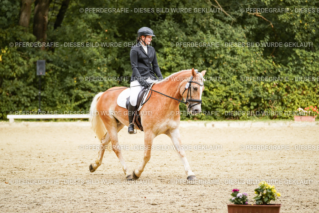 DSC00077 | Pferdegrafie