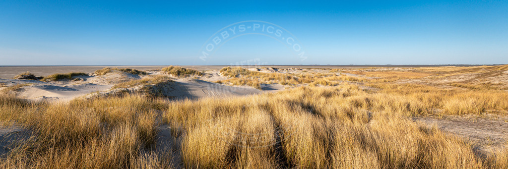 Dünenpanorama Hugerhamm | Dünen am Strand von St. Peter-Ording