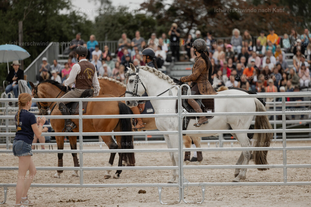 WE__Stoib_Rinder_PI2025_3076 | Pferd International München 2025