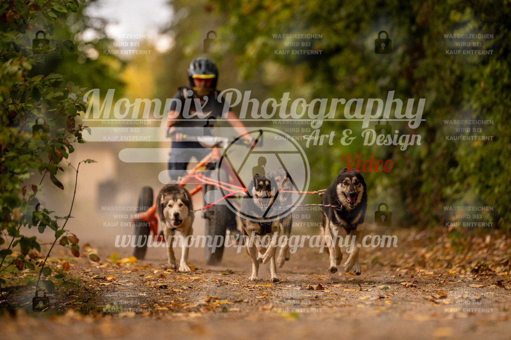 CDLBDB_14_10_2023_Samedi-1 | PayLife