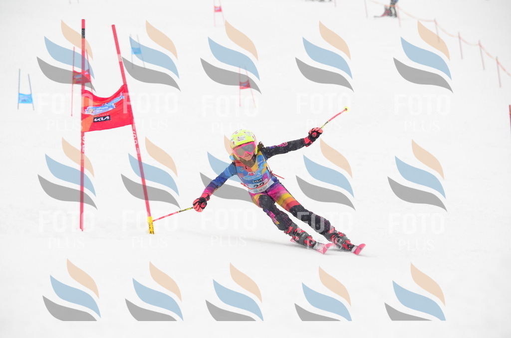 C0683 | holidayphoto