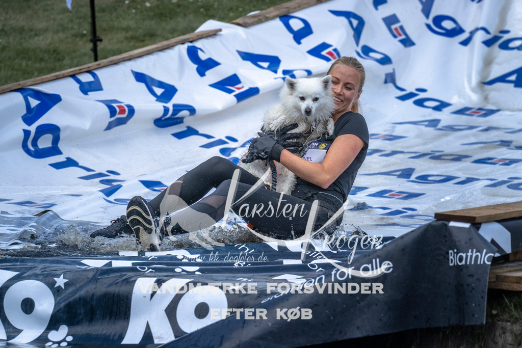 1111_ZZ91372 | kk-dogfotos