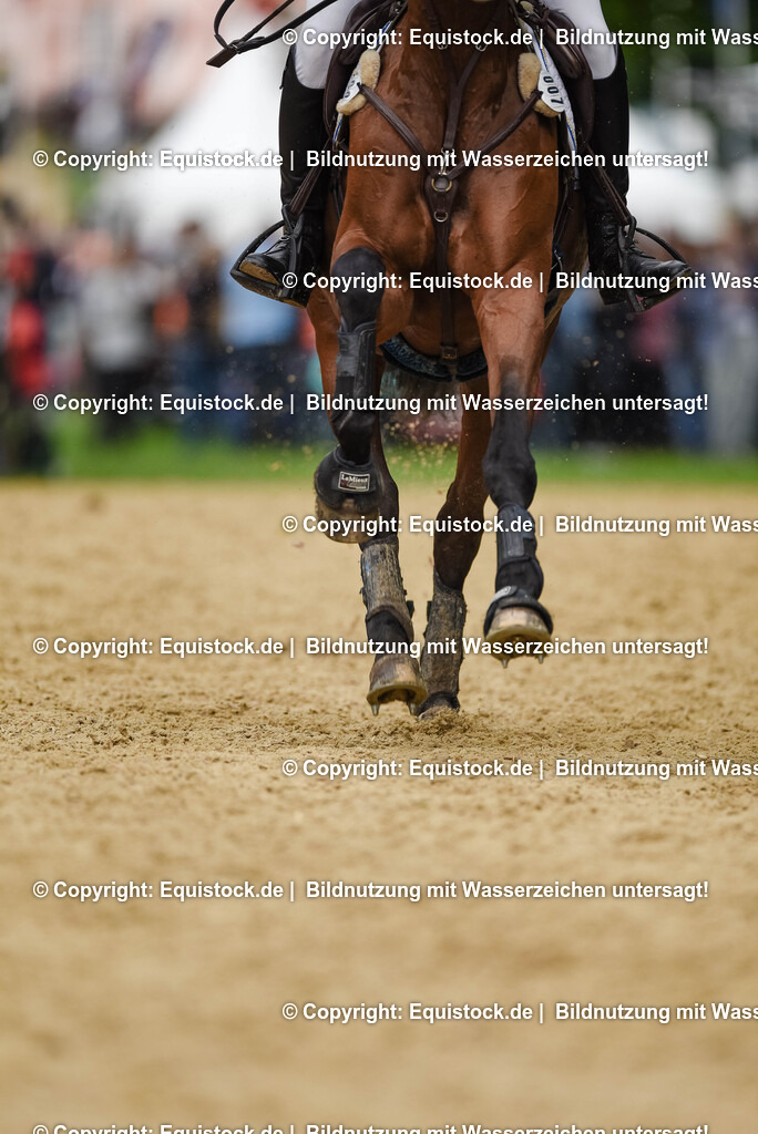 TS_20250607_27_CCI4_Gelände_0229 | Foto: Thomas Hartig