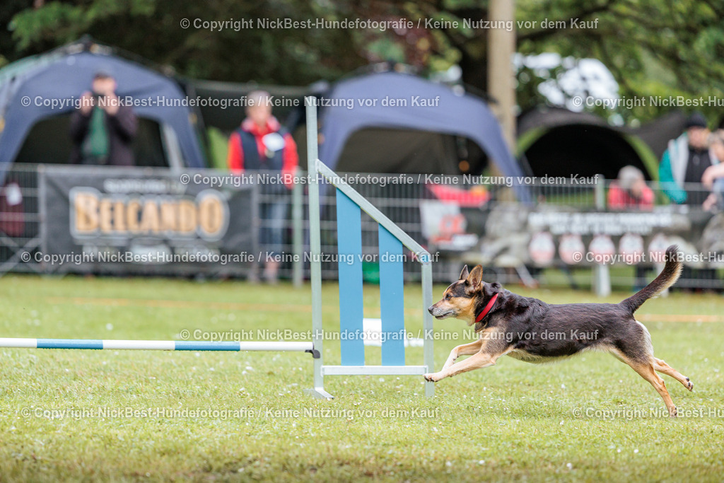 RO-Blumenthal-2026-Nickbest-Hundefotografie-4518 | Dein Hund! Dein Moment! Deine Erinnerungen! Hundefotografie in Bremen Blumenthal. Ich fange die besonderen Momente deines Vierbeiners ein – ob Indoor mit Blitzanlage oder in der freien Natur. Sicher dir dein Moment und dein Termin für eure Erinnerungen.