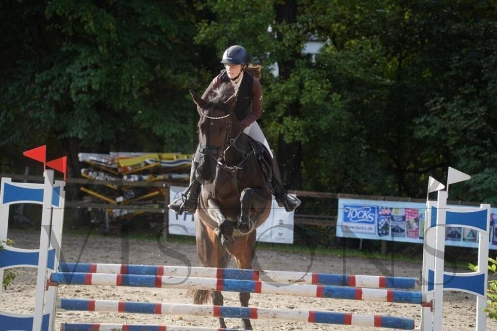 rveinoedsonntag (232) | d.tail Visions - Shop - Realisiert mit Pictrs.com