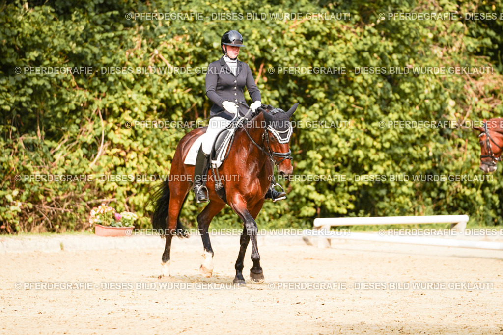 DSC03555 | Pferdegrafie