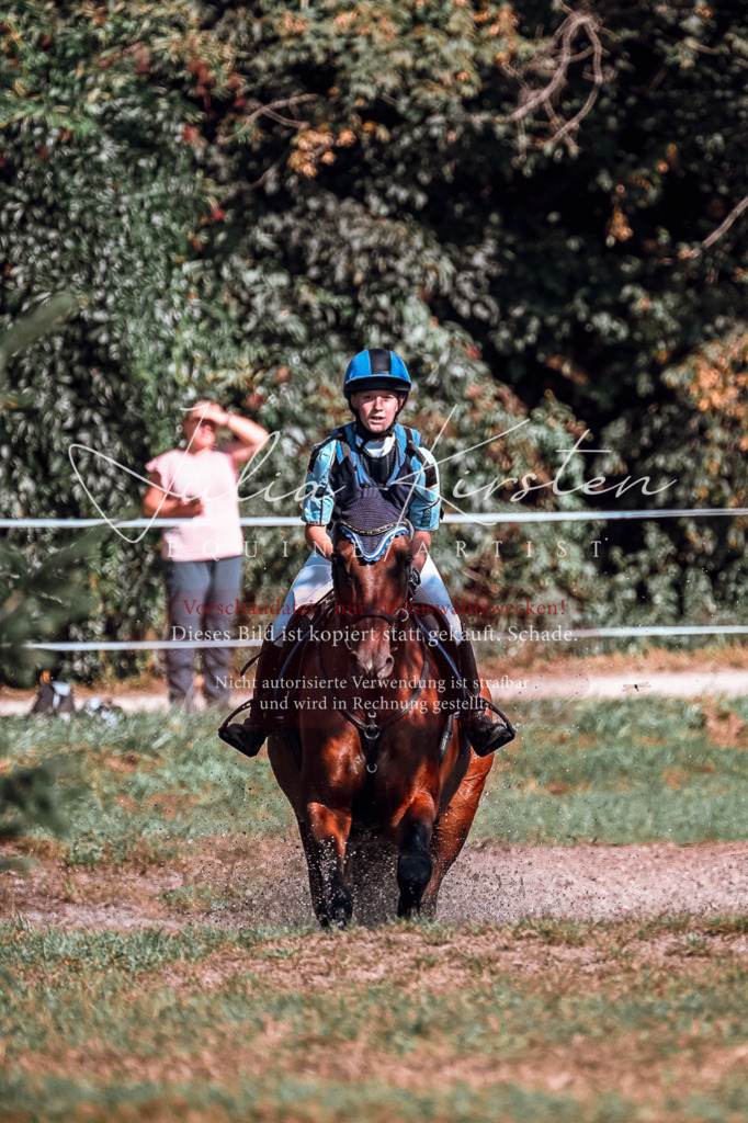 DSC_0826 | Pferde- und Turnierfotografie in Westsachsen. Pferdeportraits, Auftragszeichnungen und intuitive Kunst.
