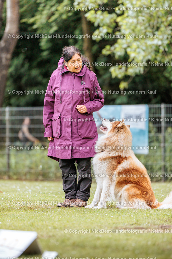 RO-Blumenthal-2026-Nickbest-Hundefotografie-2106 | Dein Hund! Dein Moment! Deine Erinnerungen! Hundefotografie in Bremen Blumenthal. Ich fange die besonderen Momente deines Vierbeiners ein – ob Indoor mit Blitzanlage oder in der freien Natur. Sicher dir dein Moment und dein Termin für eure Erinnerungen.