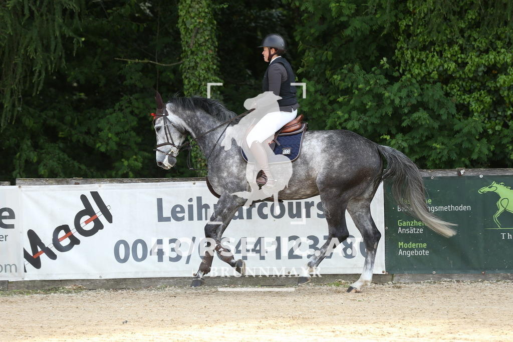 DL2Q6677 | Willkommen bei Brunnmayr - Design & Fotografie – Ihrem Spezialisten für Reitturniere und Pferdeveranstaltungen in Oberösterreich, Salzburg und Bayern! Seit über 17 Jahren sind wir leidenschaftlich dabei.