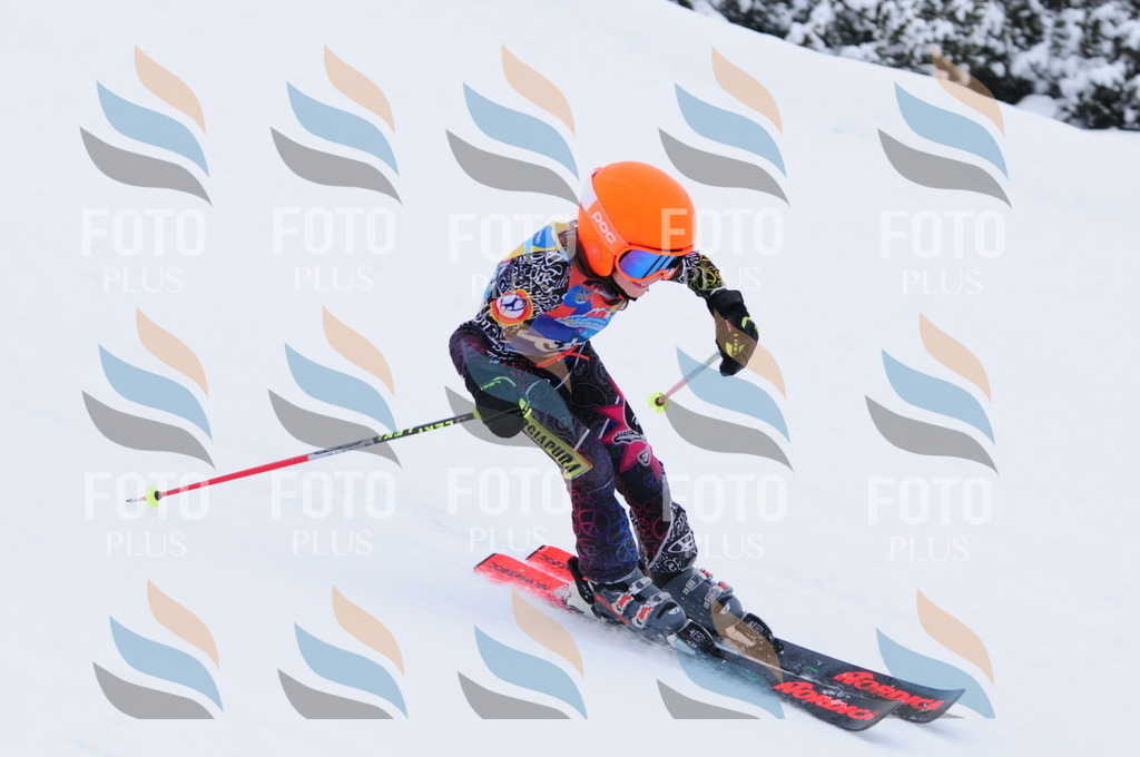 C3355 | holidayphoto