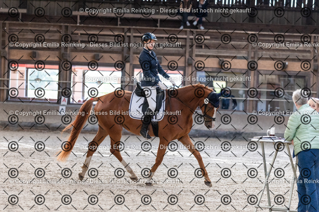 CL5A0241 | Emilia Reinking Fotografie - Realisiert mit Pictrs.com