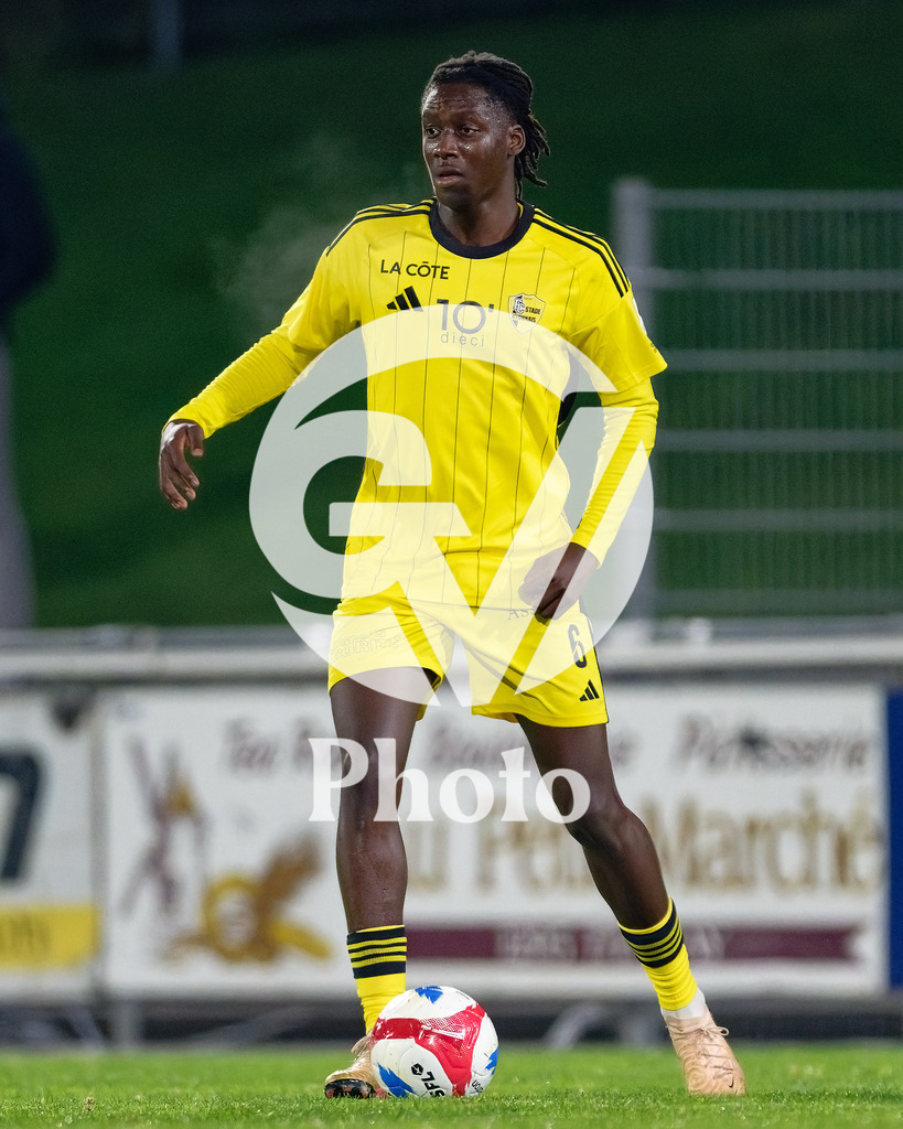 dieci Challenge League - FC Stade Nyonnais v Etoile Carouge FC |  during the dieci Challenge League match between FC Stade Nyonnais and Etoile Carouge FC at Centre sportif de Colovray in Nyon, Switzerland