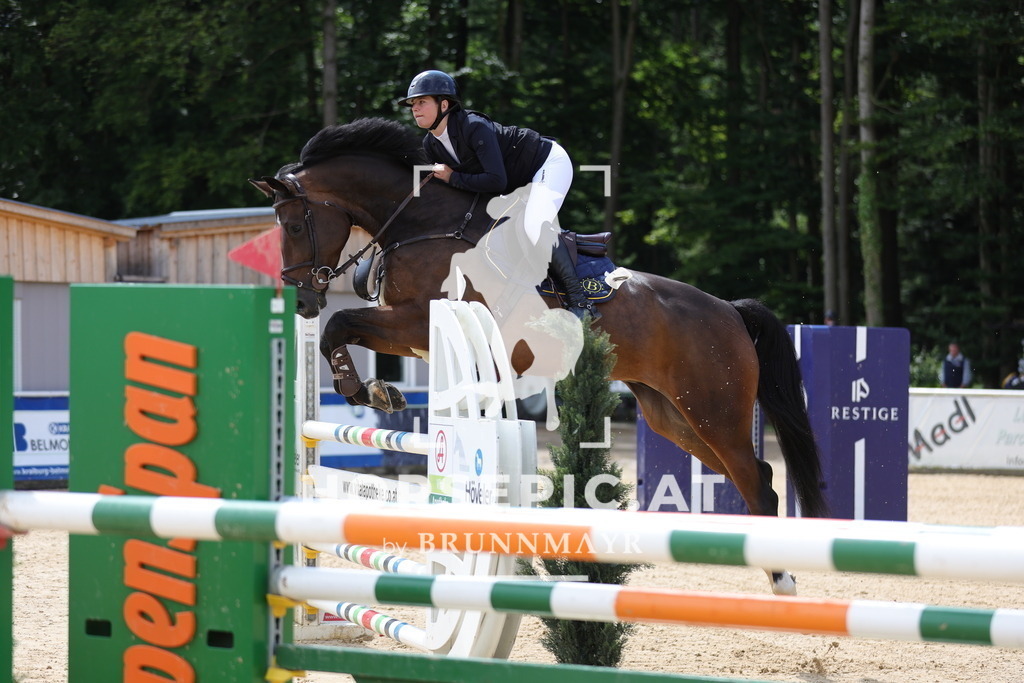 0P6A3784 | Willkommen bei Brunnmayr - Design & Fotografie – Ihrem Spezialisten für Reitturniere und Pferdeveranstaltungen in Oberösterreich, Salzburg und Bayern! Seit über 17 Jahren sind wir leidenschaftlich dabei.